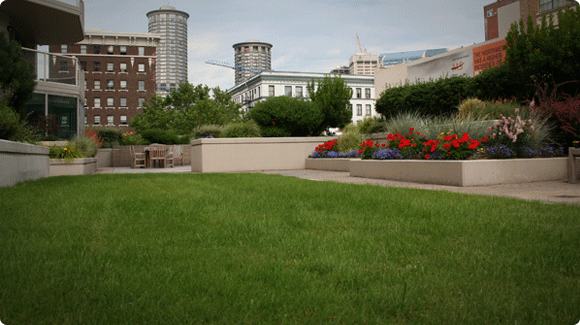 Sulaymaniyah - Darbandixan, park. Green Area 6,808 m2. Total Area 9,653 m2