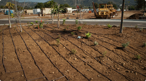 Erbil - Majidi Park, park. Green Area 110,000 m2. Total Area 450,000 m2