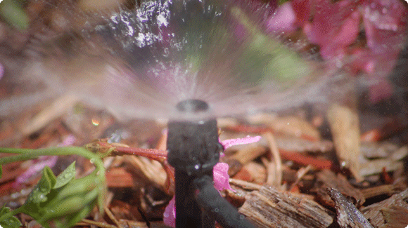 Sulaymaniyah - Dabashan, park. Green Area 1,930 m2. Total Area 2,042 m2